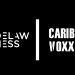 Delawness x Carib Voxx Collaboration