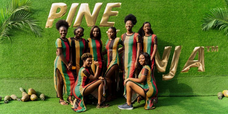 PinexGinja Festival – Connecting the Diaspora, one Vibe at a Time